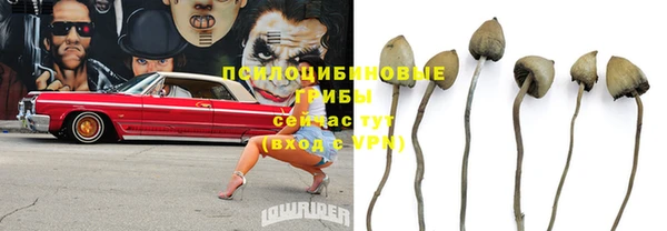 крисы Нея