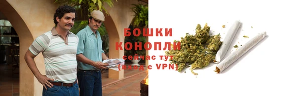 крисы Нея